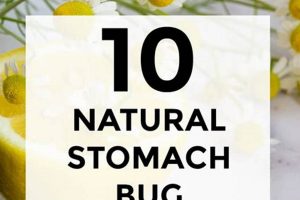 Natural Herbal Remedies for Stomach Bug Relief Today | The Ultimate Herbal Remedies Guide: Natural Healing for a Healthier Life