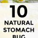 Natural Herbal Remedies for Stomach Bug Relief Today | The Ultimate Herbal Remedies Guide: Natural Healing for a Healthier Life