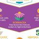 Best Natural Herbal Remedies for Cold &amp; Flu Relief | The Ultimate Herbal Remedies Guide: Natural Healing for a Healthier Life