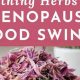 Natural Aid: Herbal Supplements for Menopause Mood Swings Relief | The Ultimate Herbal Remedies Guide: Natural Healing for a Healthier Life