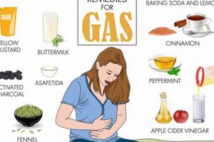 Best Gas Herbal Remedies: Natural Relief Tips | The Ultimate Herbal Remedies Guide: Natural Healing for a Healthier Life