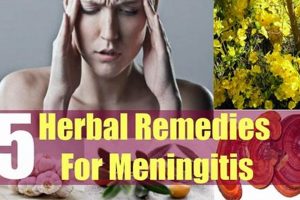 Natural Herbal Remedies for Viral Meningitis: Relief? | The Ultimate Herbal Remedies Guide: Natural Healing for a Healthier Life