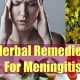 Natural Herbal Remedies for Viral Meningitis: Relief? | The Ultimate Herbal Remedies Guide: Natural Healing for a Healthier Life