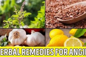Natural Angina Herbal Treatment: Relief &amp; Support | The Ultimate Herbal Remedies Guide: Natural Healing for a Healthier Life