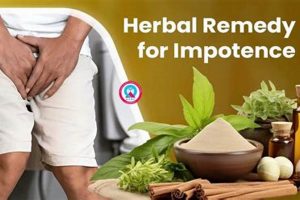 Natural Herbal Remedy for Impotence: Benefits & Risks | The Ultimate Herbal Remedies Guide: Natural Healing for a Healthier Life