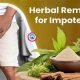Natural Herbal Remedy for Impotence: Benefits & Risks | The Ultimate Herbal Remedies Guide: Natural Healing for a Healthier Life