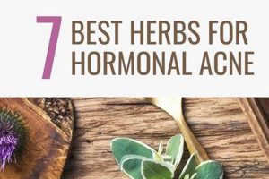 Natural: Hormonal Acne Herbal Remedies That Work! | The Ultimate Herbal Remedies Guide: Natural Healing for a Healthier Life