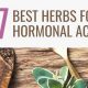 Natural: Hormonal Acne Herbal Remedies That Work! | The Ultimate Herbal Remedies Guide: Natural Healing for a Healthier Life