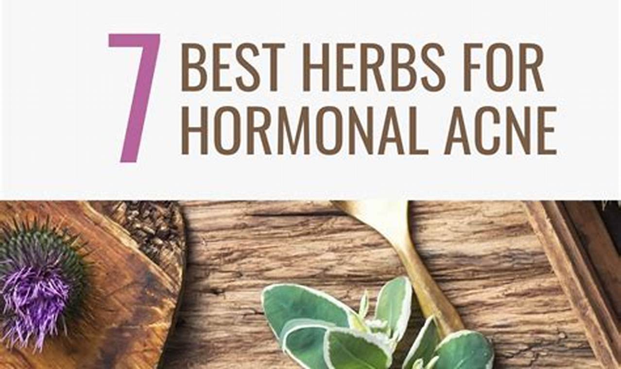 Natural: Hormonal Acne Herbal Remedies That Work! | The Ultimate Herbal Remedies Guide: Natural Healing for a Healthier Life