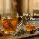 Natural Herbal Treatment for Pneumonia Relief | The Ultimate Herbal Remedies Guide: Natural Healing for a Healthier Life