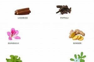 Natural Herbal Remedies for Bronchitis Relief Now | The Ultimate Herbal Remedies Guide: Natural Healing for a Healthier Life
