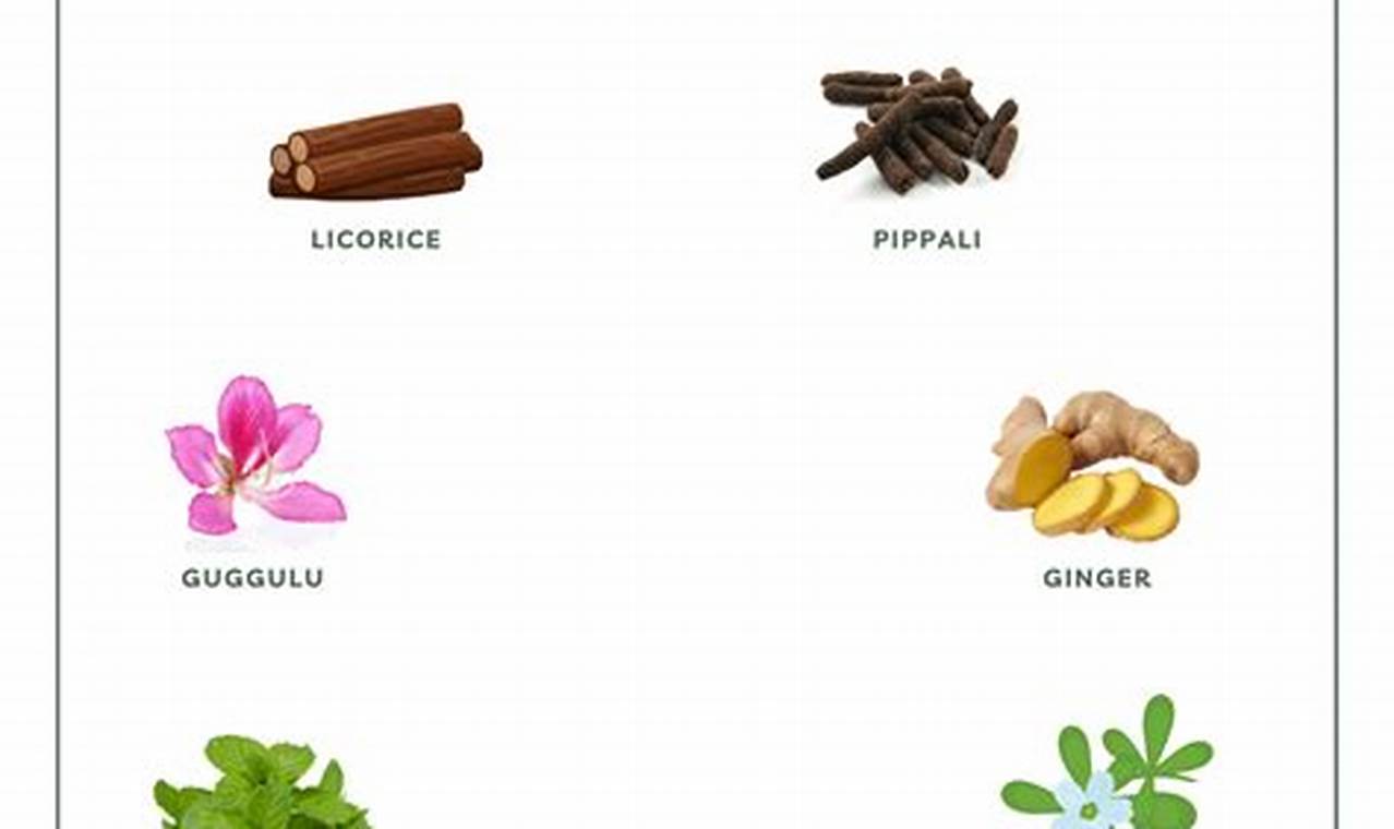 Natural Herbal Remedies for Bronchitis Relief Now | The Ultimate Herbal Remedies Guide: Natural Healing for a Healthier Life