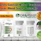 Natural Herbal Treatment for Diabetes: A Guide | The Ultimate Herbal Remedies Guide: Natural Healing for a Healthier Life