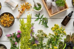 Natural Herbal Remedies at Home: Your Guide | The Ultimate Herbal Remedies Guide: Natural Healing for a Healthier Life