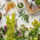 Natural Herbal Remedies at Home: Your Guide | The Ultimate Herbal Remedies Guide: Natural Healing for a Healthier Life