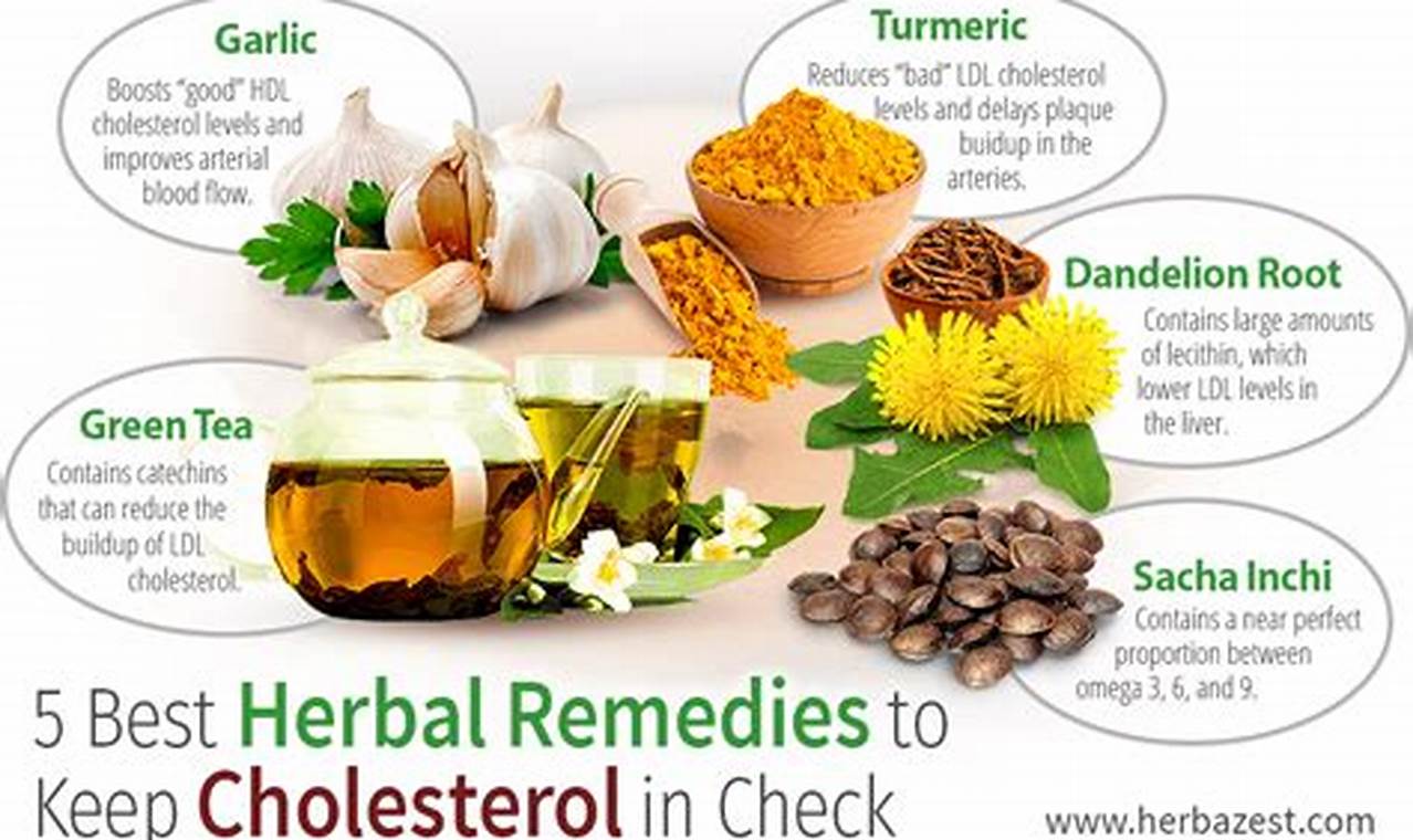 Natural Herbal Remedies to Reduce Cholesterol Levels Fast | The Ultimate Herbal Remedies Guide: Natural Healing for a Healthier Life