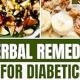 Natural Herbal Remedies for Diabetes Support - Guide | The Ultimate Herbal Remedies Guide: Natural Healing for a Healthier Life
