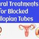 Natural Herbal Treatment for Blocked Fallopian Tubes: A Guide | The Ultimate Herbal Remedies Guide: Natural Healing for a Healthier Life
