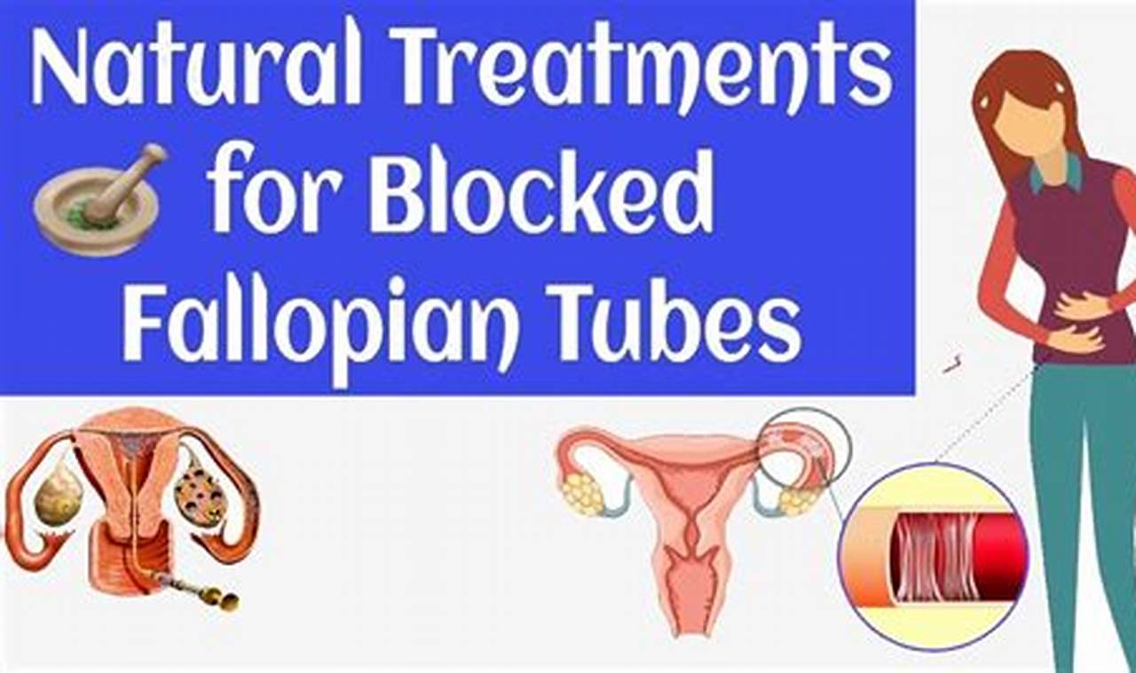 Natural Herbal Treatment for Blocked Fallopian Tubes: A Guide | The Ultimate Herbal Remedies Guide: Natural Healing for a Healthier Life