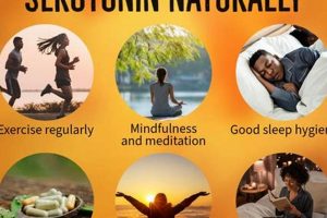 Boost Mood Naturally: Herbal Supplements That Increase Serotonin The Ultimate Herbal Remedies Guide: Natural Healing for a Healthier Life Boost Mood Naturally: Herbal Supplements That Increase Serotonin | The Ultimate Herbal Remedies Guide: Natural Healing for a Healthier Life