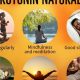 Boost Mood Naturally: Herbal Supplements That Increase Serotonin | The Ultimate Herbal Remedies Guide: Natural Healing for a Healthier Life