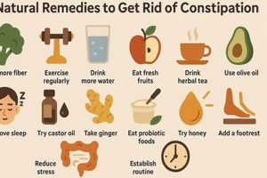 Natural Constipation Herbal Treatment: Relief Now! The Ultimate Herbal Remedies Guide: Natural Healing for a Healthier Life Natural Constipation Herbal Treatment: Relief Now! | The Ultimate Herbal Remedies Guide: Natural Healing for a Healthier Life