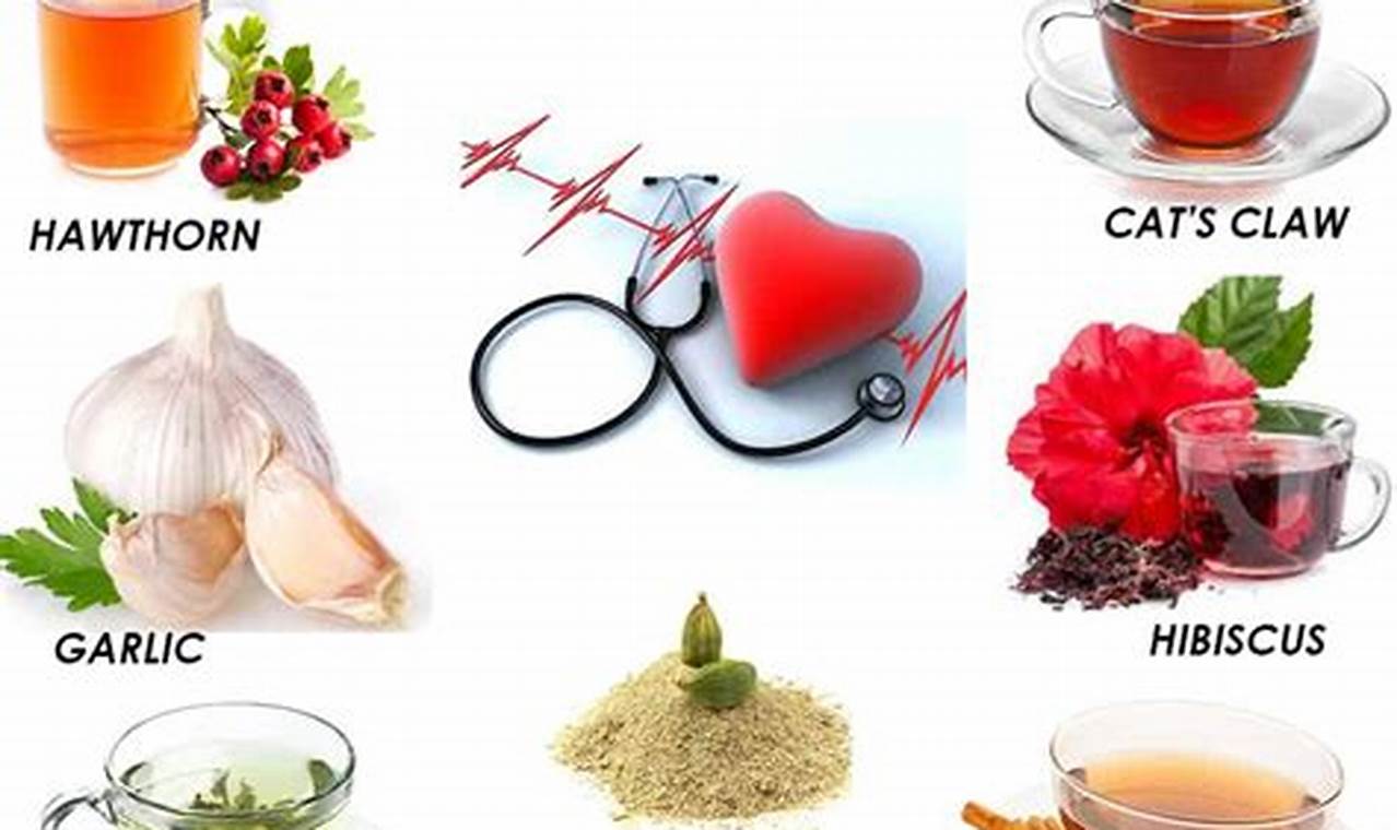 Natural Herbal Remedies for High Blood Pressure Relief | The Ultimate Herbal Remedies Guide: Natural Healing for a Healthier Life