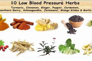 Natural Herbal Remedies to Lower Blood Pressure Quickly | The Ultimate Herbal Remedies Guide: Natural Healing for a Healthier Life