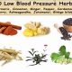 Natural Herbal Remedies to Lower Blood Pressure Quickly | The Ultimate Herbal Remedies Guide: Natural Healing for a Healthier Life