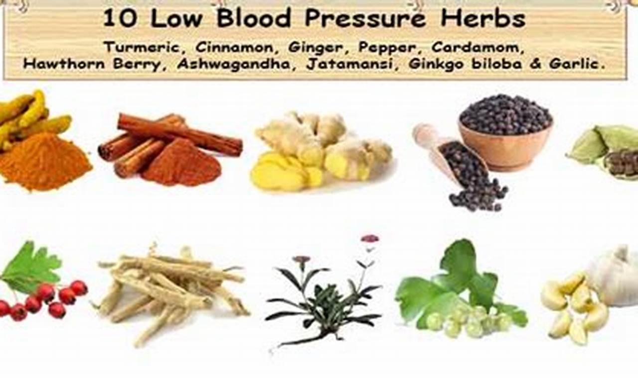 Natural Herbal Remedies to Lower Blood Pressure Quickly | The Ultimate Herbal Remedies Guide: Natural Healing for a Healthier Life