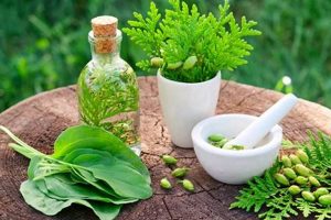 Guide: What are Herbal Supplements? Uses & Benefits | The Ultimate Herbal Remedies Guide: Natural Healing for a Healthier Life