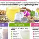 Best Natural Herbal Treatment for Menopause: Relief Guide | The Ultimate Herbal Remedies Guide: Natural Healing for a Healthier Life