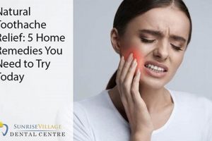 Natural Herbal Remedies for Toothache Relief: Fast Fixes | The Ultimate Herbal Remedies Guide: Natural Healing for a Healthier Life