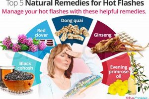 Natural Herbal Treatment for Hot Flashes: Relief Guide | The Ultimate Herbal Remedies Guide: Natural Healing for a Healthier Life