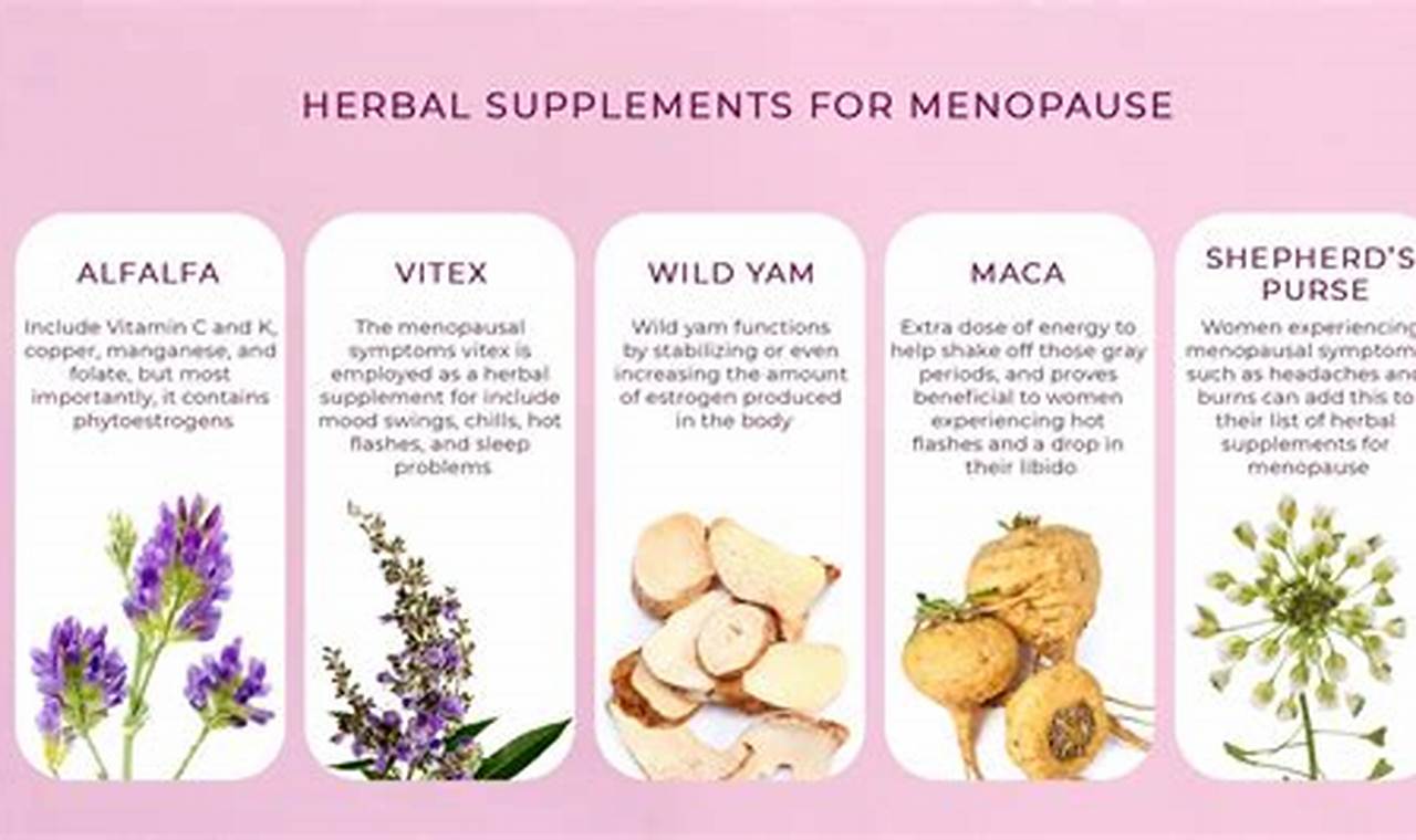 Top Herbal Supplements for Menopause Relief: A Guide | The Ultimate Herbal Remedies Guide: Natural Healing for a Healthier Life