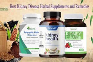 Best Herbal Supplements for Kidney Health: A Guide The Ultimate Herbal Remedies Guide: Natural Healing for a Healthier Life Best Herbal Supplements for Kidney Health: A Guide | The Ultimate Herbal Remedies Guide: Natural Healing for a Healthier Life