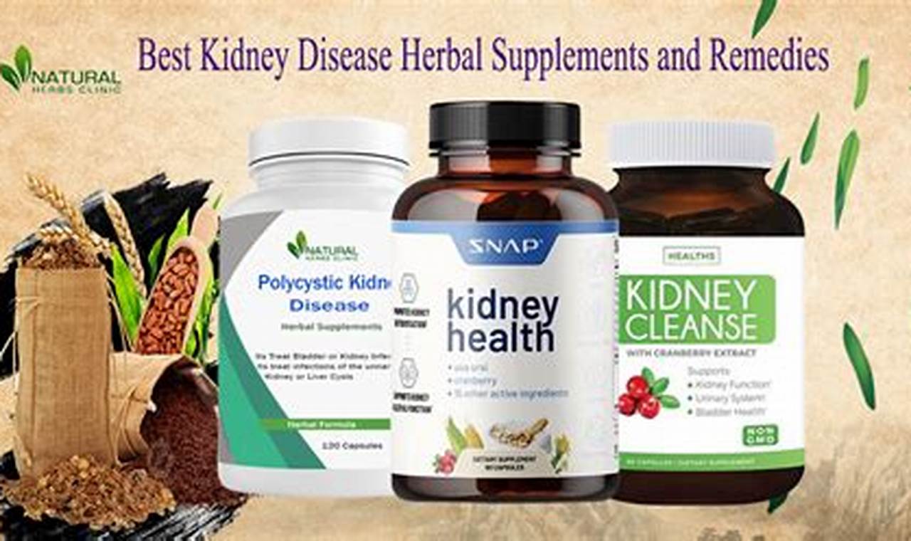 Best Herbal Supplements for Kidney Health: A Guide The Ultimate Herbal Remedies Guide: Natural Healing for a Healthier Life Best Herbal Supplements for Kidney Health: A Guide | The Ultimate Herbal Remedies Guide: Natural Healing for a Healthier Life