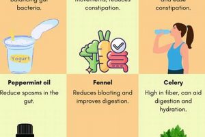 Natural Herbal Remedies for IBS: Find Relief Now! The Ultimate Herbal Remedies Guide: Natural Healing for a Healthier Life Natural Herbal Remedies for IBS: Find Relief Now! | The Ultimate Herbal Remedies Guide: Natural Healing for a Healthier Life