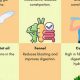 Natural Herbal Remedies for IBS: Find Relief Now! | The Ultimate Herbal Remedies Guide: Natural Healing for a Healthier Life
