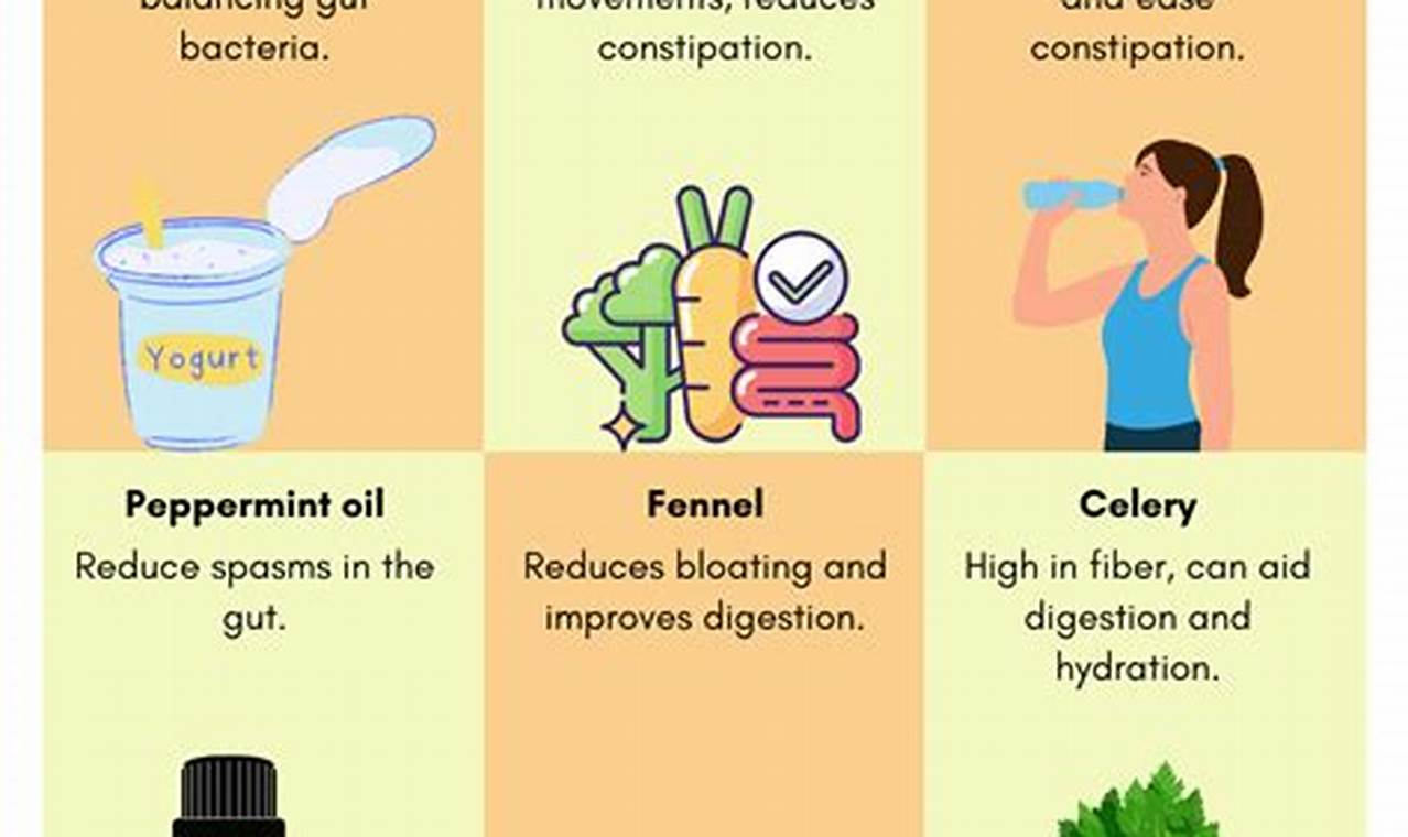 Natural Herbal Remedies for IBS: Find Relief Now! The Ultimate Herbal Remedies Guide: Natural Healing for a Healthier Life Natural Herbal Remedies for IBS: Find Relief Now! | The Ultimate Herbal Remedies Guide: Natural Healing for a Healthier Life