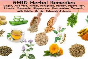 Natural Herbal Treatment for GERD Relief: A Guide The Ultimate Herbal Remedies Guide: Natural Healing for a Healthier Life Natural Herbal Treatment for GERD Relief: A Guide | The Ultimate Herbal Remedies Guide: Natural Healing for a Healthier Life