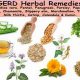 Natural Herbal Treatment for GERD Relief: A Guide | The Ultimate Herbal Remedies Guide: Natural Healing for a Healthier Life