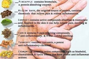 Natural Herbal Remedies for Carpal Tunnel: Relief Guide | The Ultimate Herbal Remedies Guide: Natural Healing for a Healthier Life
