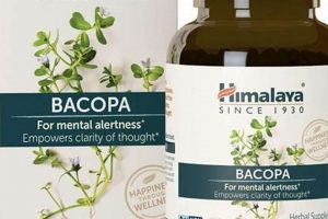 Best Herbal ADHD Supplement Guide: Natural Focus Aid The Ultimate Herbal Remedies Guide: Natural Healing for a Healthier Life Best Herbal ADHD Supplement Guide: Natural Focus Aid | The Ultimate Herbal Remedies Guide: Natural Healing for a Healthier Life