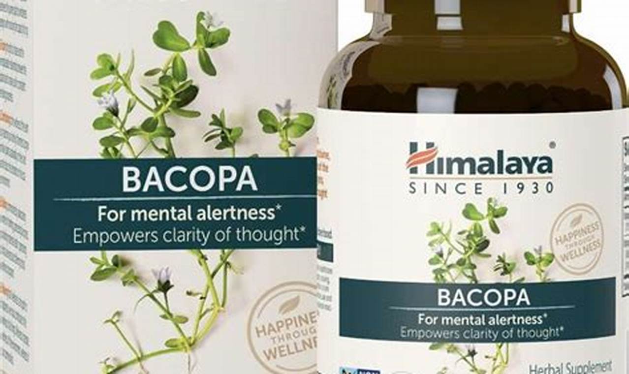 Best Herbal ADHD Supplement Guide: Natural Focus Aid | The Ultimate Herbal Remedies Guide: Natural Healing for a Healthier Life