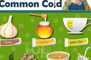 Natural Herbal Remedies for Common Cold Relief Today | The Ultimate Herbal Remedies Guide: Natural Healing for a Healthier Life