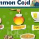 Natural Herbal Remedies for Common Cold Relief Today | The Ultimate Herbal Remedies Guide: Natural Healing for a Healthier Life