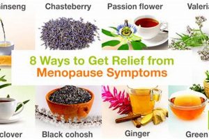 Natural Herbal Menopause Remedies: Relief + Guide The Ultimate Herbal Remedies Guide: Natural Healing for a Healthier Life Natural Herbal Menopause Remedies: Relief + Guide | The Ultimate Herbal Remedies Guide: Natural Healing for a Healthier Life