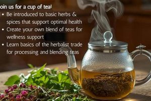 Maine's Herbal Remedies: Natural Solutions from Maine The Ultimate Herbal Remedies Guide: Natural Healing for a Healthier Life Maine's Herbal Remedies: Natural Solutions from Maine | The Ultimate Herbal Remedies Guide: Natural Healing for a Healthier Life