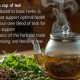 Maine's Herbal Remedies: Natural Solutions from Maine | The Ultimate Herbal Remedies Guide: Natural Healing for a Healthier Life